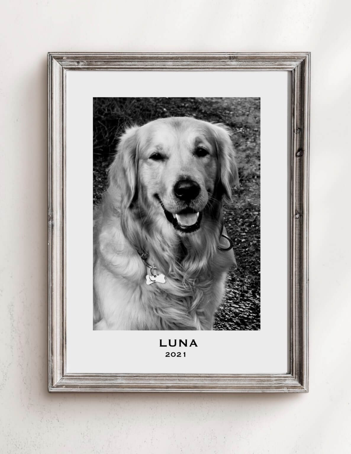 Plakat z psem – wydruk zdjęcia psa z personalizacją